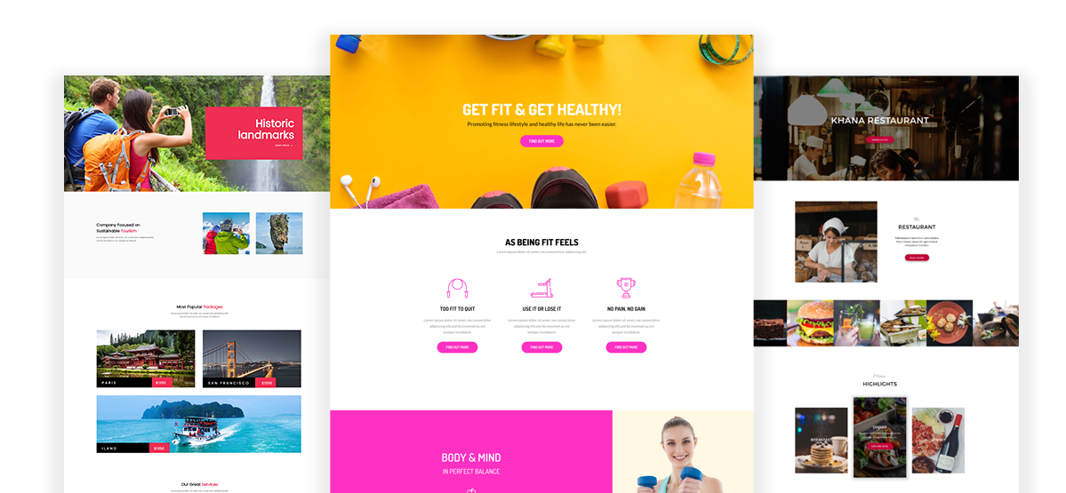 Divi Monk: 250  Divi Templates Professionally Designed Custom Divi