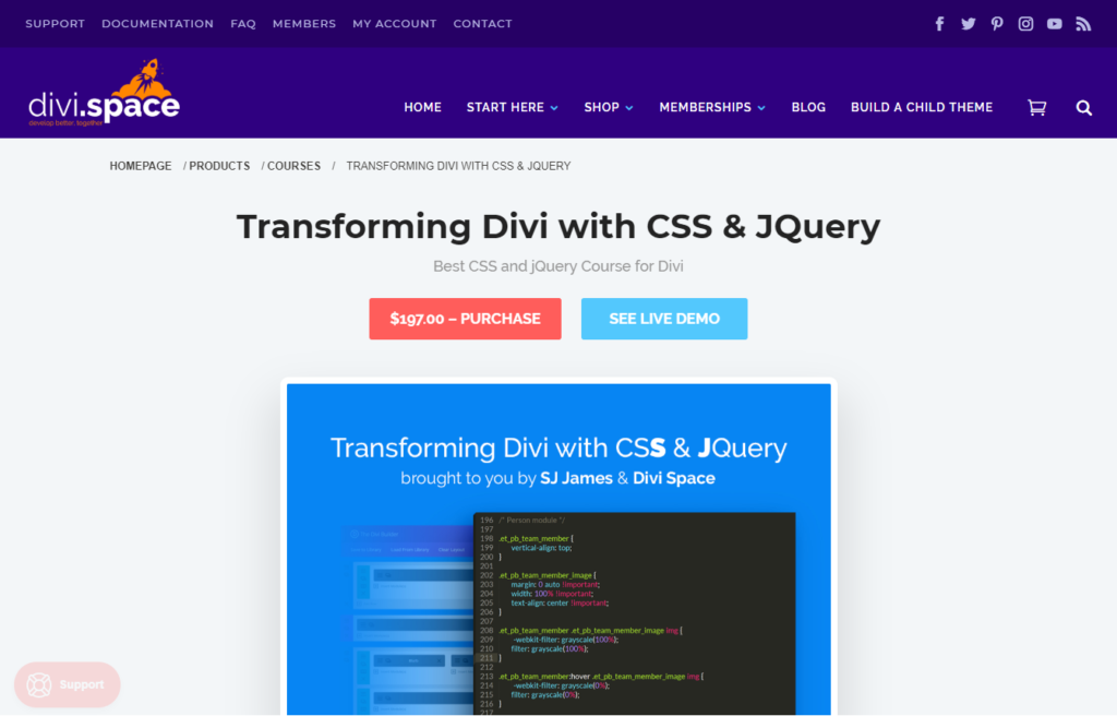 CSS for Divi