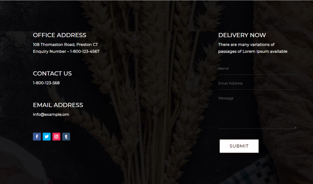 Contact section Divi Bakery Template